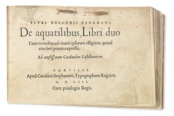 BELON, PIERRE. De aquatilibus, Libri duo.  1553